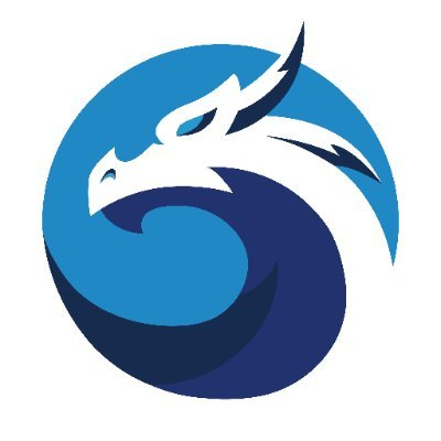 Dragon Dragon